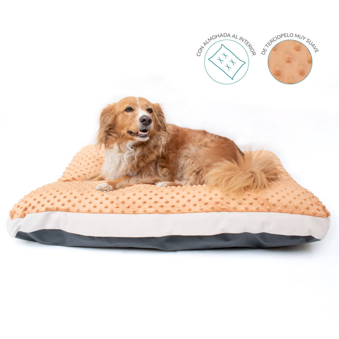 Cama colchoneta para perros Dots Marrón